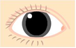 散瞳後の瞳孔